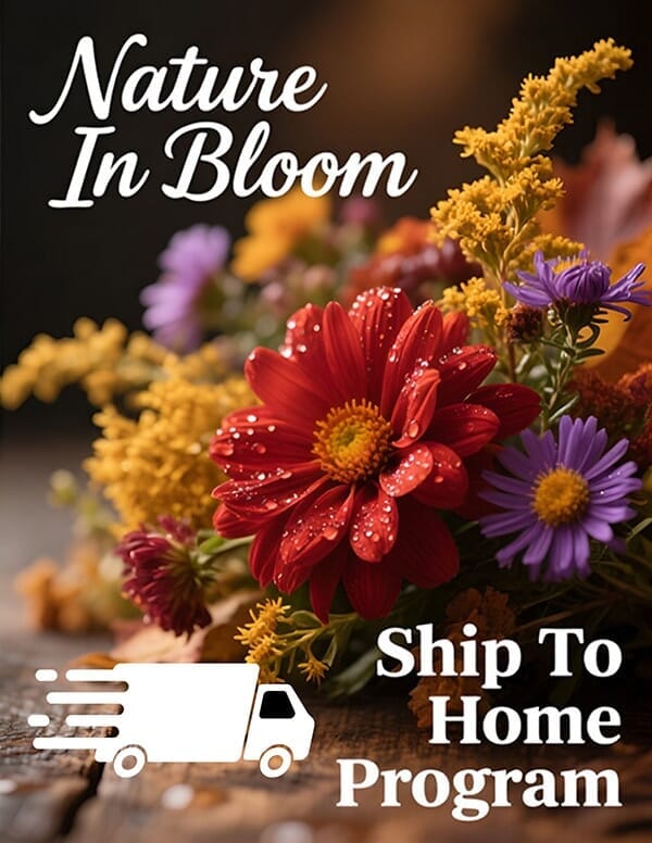 Fall Flower Bulb Fundraiser Program