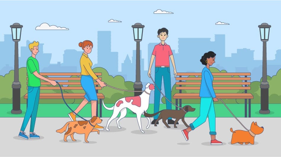 dog walking fundraiser