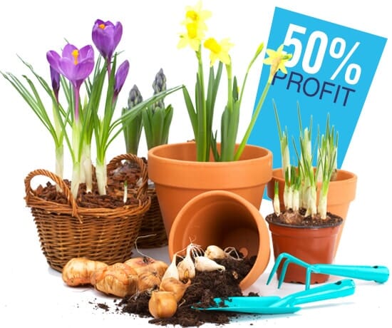 Flower fundraising program